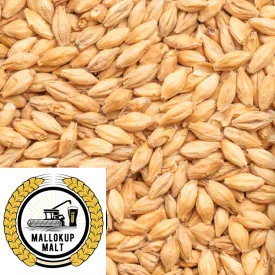 Pale Malt - Mallokup (AUS) - per kg