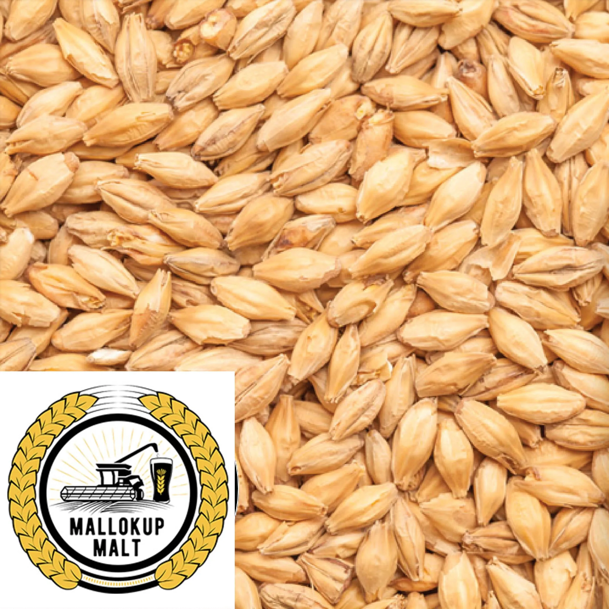 Pale Malt - Mallokup (AUS) - per kg