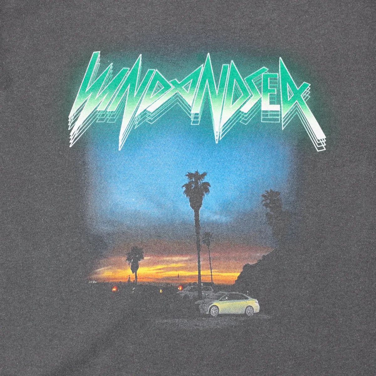 Thrash Heritage Thunder L/S Tee / METRO_POLITAN